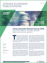 China_Corporate_Survey-2018